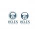 Лого и фирменный стиль для Veles - дизайнер anstep