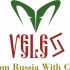 Лого и фирменный стиль для Veles - дизайнер rvlogo