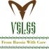 Лого и фирменный стиль для Veles - дизайнер rvlogo