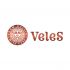 Лого и фирменный стиль для Veles - дизайнер shamaevserg