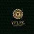 Лого и фирменный стиль для Veles - дизайнер DIZIBIZI