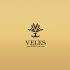 Лого и фирменный стиль для Veles - дизайнер LiXoOn