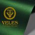 Лого и фирменный стиль для Veles - дизайнер yulyok13
