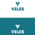 Лого и фирменный стиль для Veles - дизайнер novikogocsha18