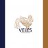 Лого и фирменный стиль для Veles - дизайнер Daryur