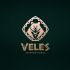 Лого и фирменный стиль для Veles - дизайнер bond-amigo