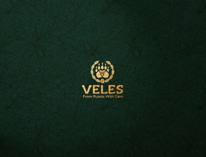 Лого и фирменный стиль для Veles - дизайнер BARS_PROD