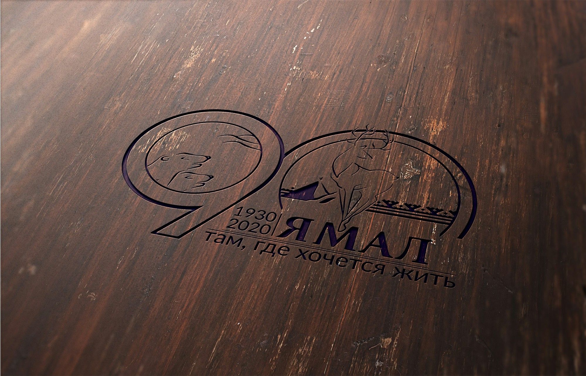 Лого и фирменный стиль для 90-летие со дня образования Ямала - дизайнер elgiz