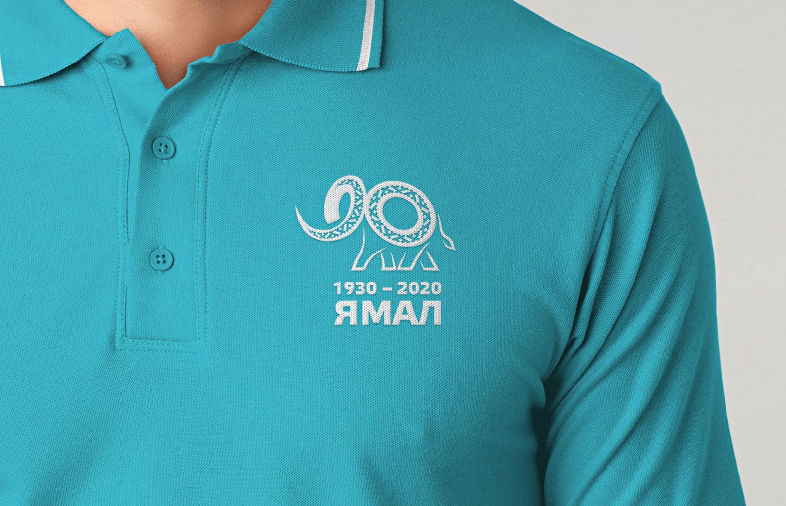 Лого и фирменный стиль для 90-летие со дня образования Ямала - дизайнер andblin61