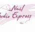 Логотип для Nail Studio Express - дизайнер Vikikiki