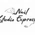 Логотип для Nail Studio Express - дизайнер Vikikiki