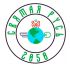 Логотип для Святая Русь 2050 - дизайнер rrhasan