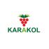 Логотип для KARAKOL - дизайнер natalua2017