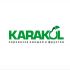 Логотип для KARAKOL - дизайнер pilotdsn