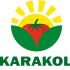 Логотип для KARAKOL - дизайнер MOLOKO