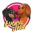 Логотип для Lucky&Jerry / Истории Лаки и  Джерри  - дизайнер NiksonAtr