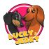 Логотип для Lucky&Jerry / Истории Лаки и  Джерри  - дизайнер NiksonAtr