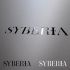 Логотип для  Syberia - Скрытые двери - дизайнер Didot