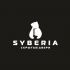 Логотип для  Syberia - Скрытые двери - дизайнер markosov