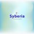 Логотип для  Syberia - Скрытые двери - дизайнер ddpk