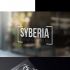 Логотип для  Syberia - Скрытые двери - дизайнер vell21