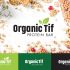 Лого и фирменный стиль для Organic Tif - дизайнер kokker