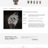 Веб-сайт для Дистрибьютор часов Мануфактуры «Константин Чайкин» - дизайнер anna_yurievna