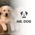 Логотип для Мистер Пёс (Mr. Пёс) - дизайнер valiok22