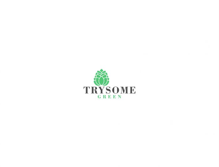 Лого и фирменный стиль для trysome green - дизайнер serz4868