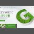 Веб-сайт для TrySomeGreen - дизайнер maxl-design