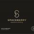 Логотип для Spaceberry - дизайнер designer79