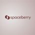 Логотип для Spaceberry - дизайнер radchuk-ruslan