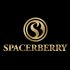 Логотип для Spaceberry - дизайнер Natal_ka