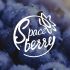 Логотип для Spaceberry - дизайнер KalseferDesigng