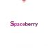 Логотип для Spaceberry - дизайнер zima