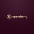 Логотип для Spaceberry - дизайнер webgrafika