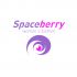 Логотип для Spaceberry - дизайнер AnatoliyInvito
