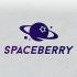 Логотип для Spaceberry - дизайнер Vaha15