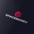 Логотип для Spaceberry - дизайнер webgrafika