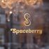 Логотип для Spaceberry - дизайнер andblin61
