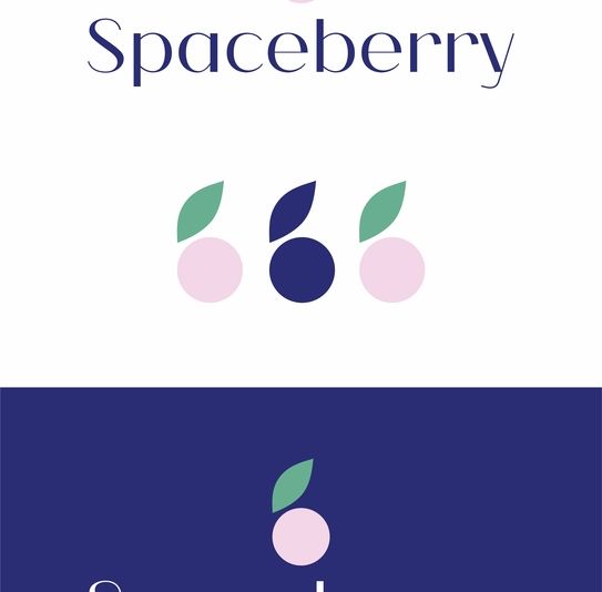 Логотип для Spaceberry - дизайнер daria_tamelina