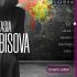 Веб-сайт для chibisova.com - дизайнер sn0va