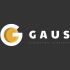 Логотип для GAUS - дизайнер spizdets