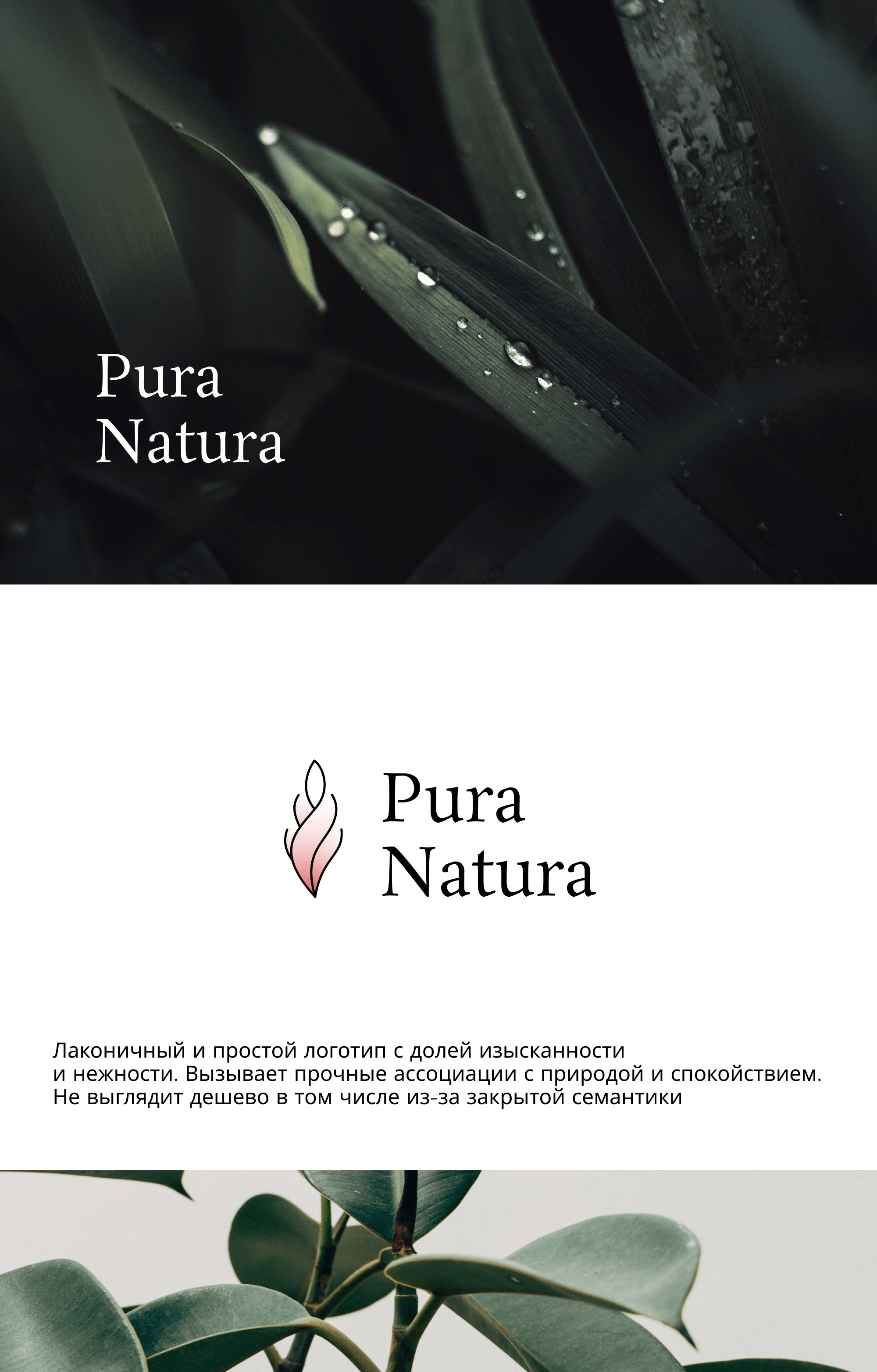 Логотип для Pura Natura - дизайнер kseniaflick