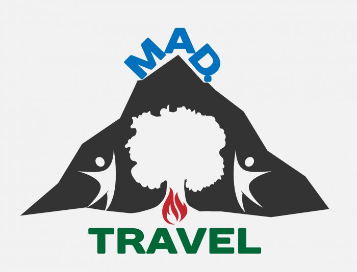 Логотип для Mad.travel - дизайнер MVVdiz