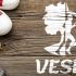 Логотип для VESNA (ВЕСНА) - дизайнер MVVdiz
