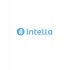Логотип для Intella - дизайнер Antonska