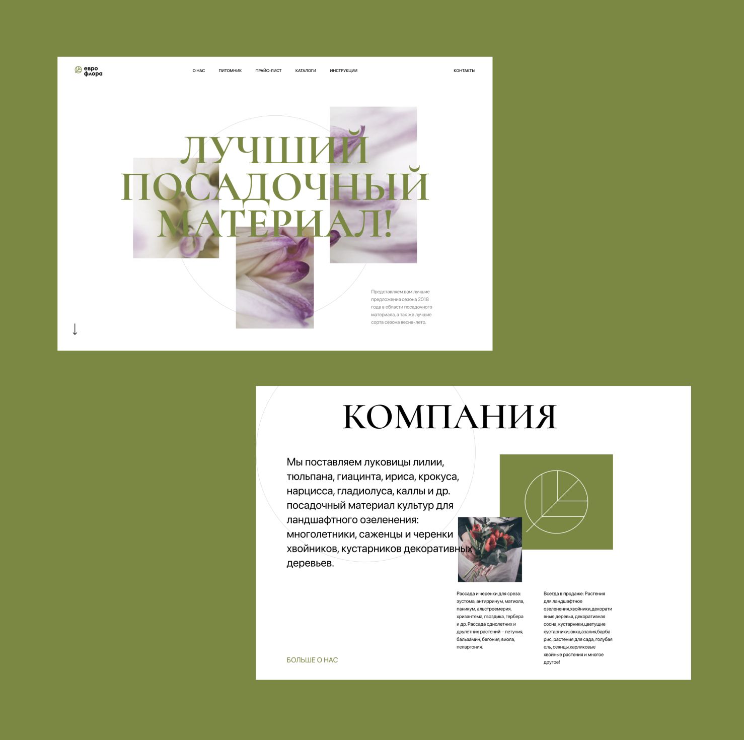 Веб-сайт для http://euflora.ru/ - дизайнер angersy