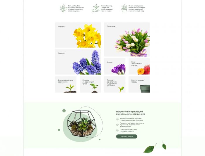 Веб-сайт для http://euflora.ru/ - дизайнер a-sork