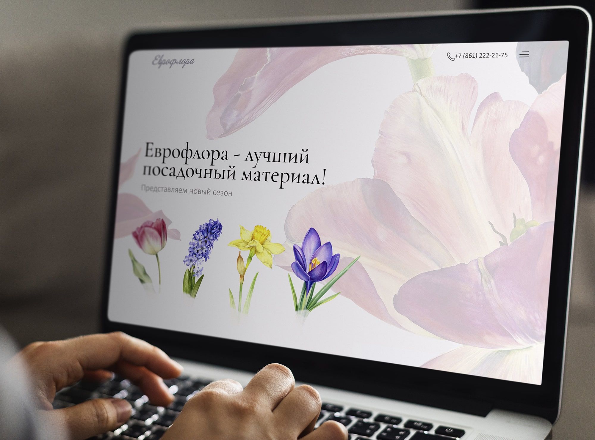 Веб-сайт для http://euflora.ru/ - дизайнер Lisi